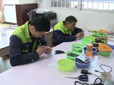 振奮人心 | 東興區殘疾人就業創業正當時！